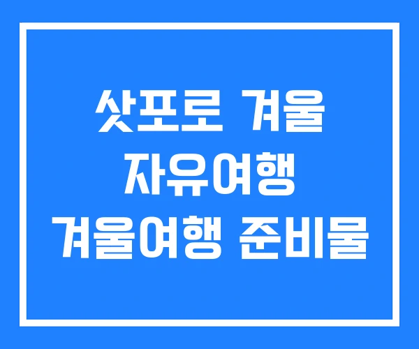 삿포로 겨울 자유여행 겨울여행 준비물