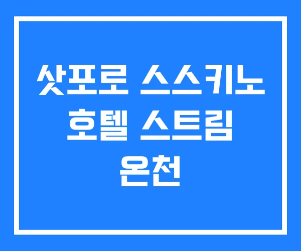 삿포로 스스키노 호텔 스트림 온천