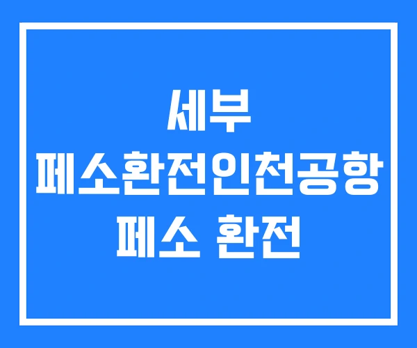 세부 페소환전인천공항 페소 환전