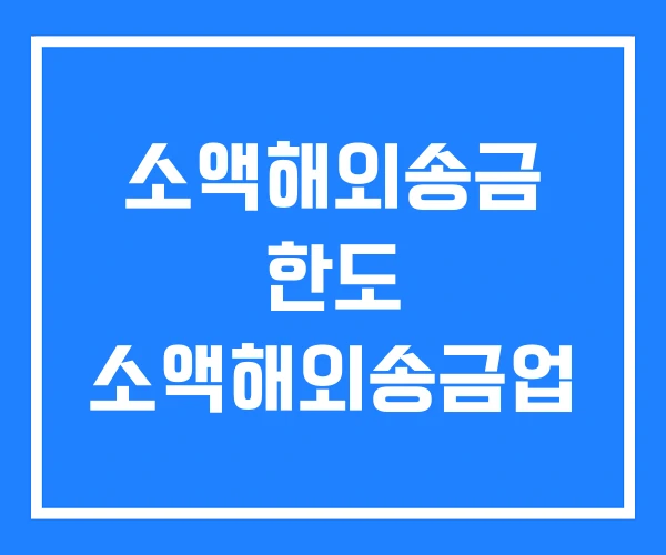 소액해외송금 한도 소액해외송금업
