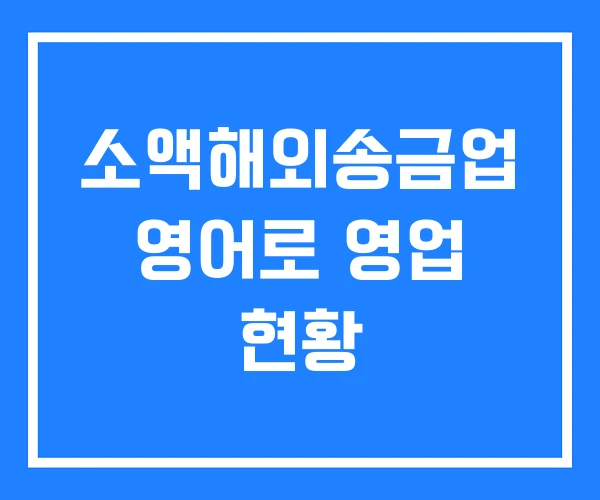 소액해외송금업 영어로 영업 현황