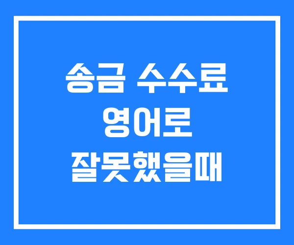 송금 수수료 영어로 잘못했을때