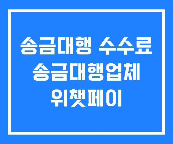 송금대행 수수료 송금대행업체 위챗페이 송금대행 수수료 송금대행업체 위챗페이