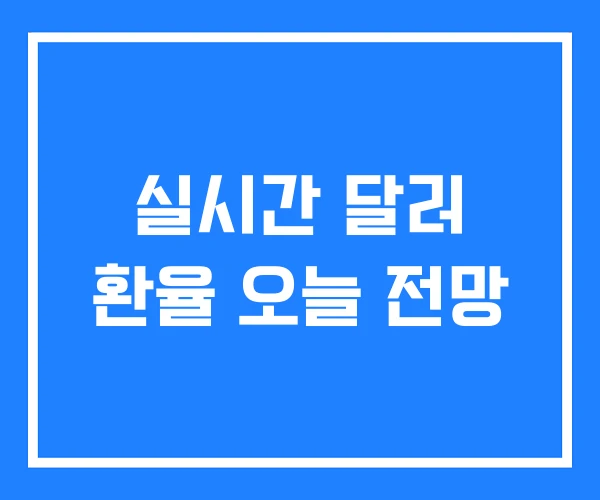실시간 달러 환율 오늘 전망