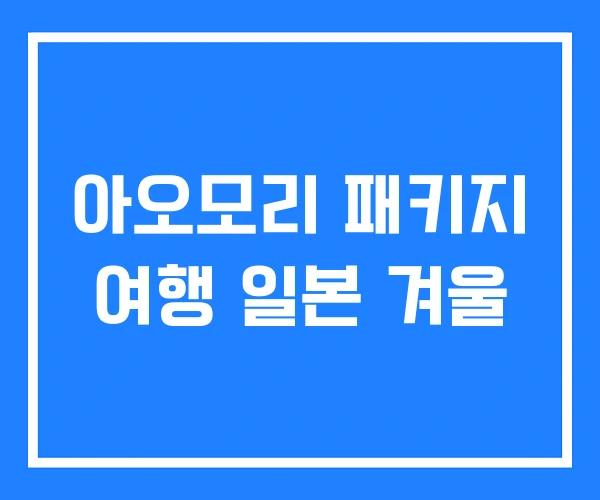 아오모리 패키지 여행 일본 겨울 아오모리 패키지 여행 일본 겨울