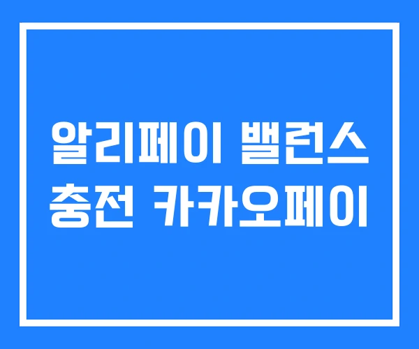 알리페이 밸런스 충전 카카오페이