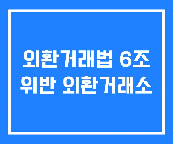 외환거래법 6조 위반 외환거래소 외환거래법 6조 위반 외환거래소