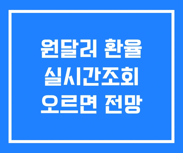 원달러 환율 실시간조회 오르면 전망