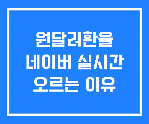 원달러환율 네이버 실시간 오르는 이유 원달러환율 네이버 실시간 오르는 이유