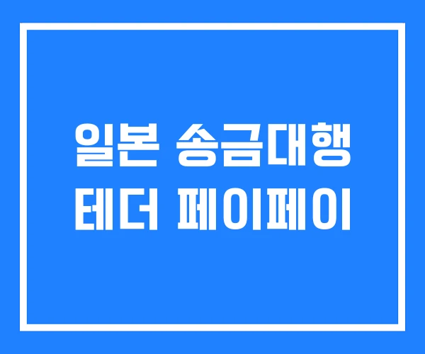 일본 송금대행 테더 페이페이