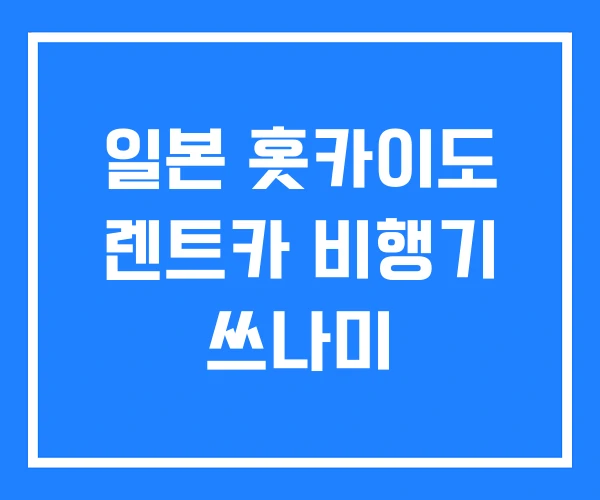 일본 홋카이도 렌트카 비행기 쓰나미