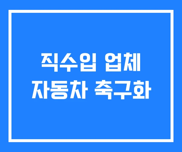 직수입 업체 자동차 축구화
