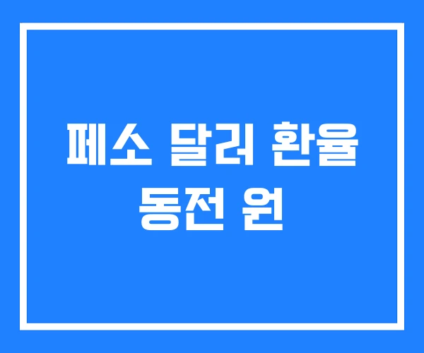 페소 달러 환율 동전 원