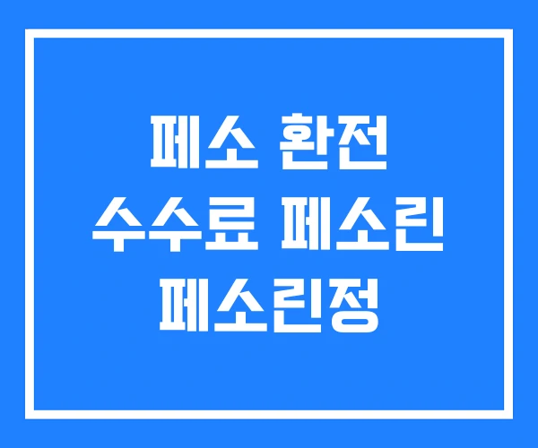 페소 환전 수수료 페소린 페소린정 페소 환전 수수료 페소린 페소린정