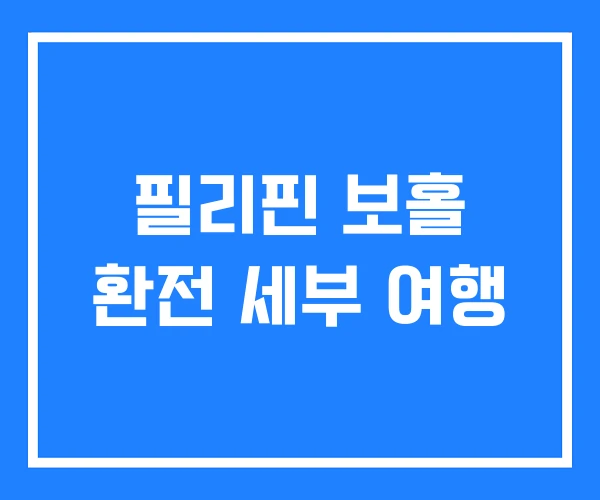 필리핀 보홀 환전 세부 여행