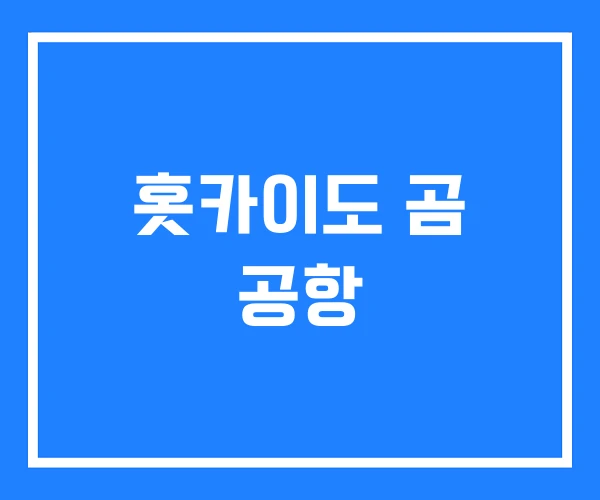 홋카이도 곰 공항
