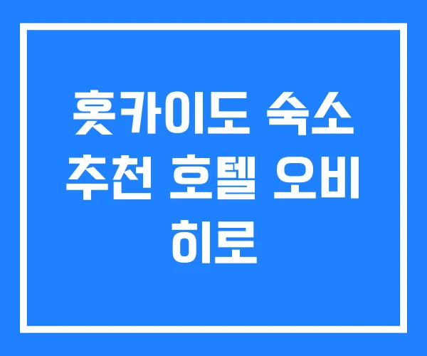 홋카이도 숙소 추천 호텔 오비 히로