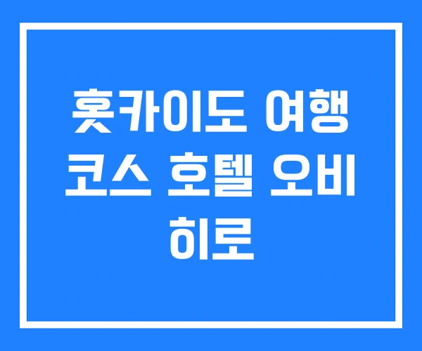 홋카이도 여행 코스 호텔 오비 히로