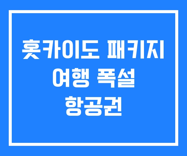 홋카이도 패키지 여행 폭설 항공권 홋카이도 패키지 여행 폭설 항공권