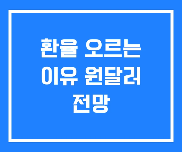 환율 오르는 이유 원달러 전망 환율 오르는 이유 원달러 전망