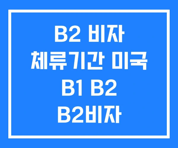 B2 비자 체류기간 미국 B1 B2 B2비자