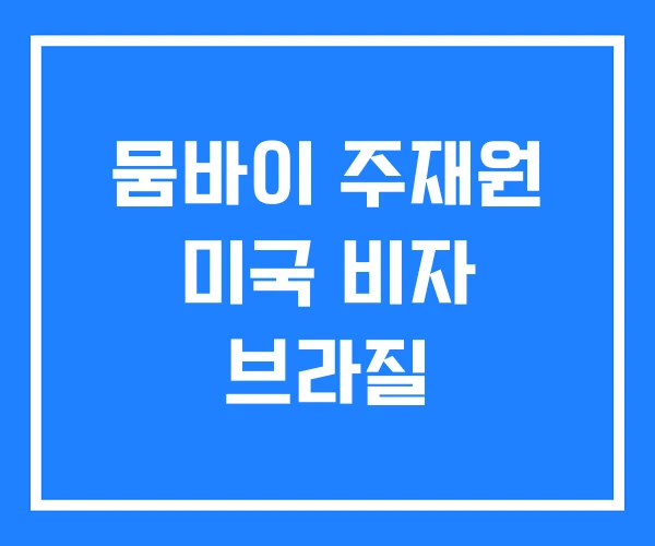 뭄바이 주재원 미국 비자 브라질