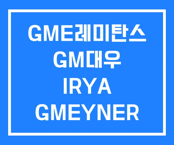 GME레미탄스 GM대우 IRYA GMEYNER