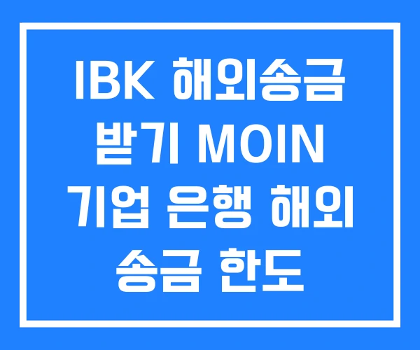 IBK 해외송금 받기 MOIN 기업 은행 해외 송금 한도
