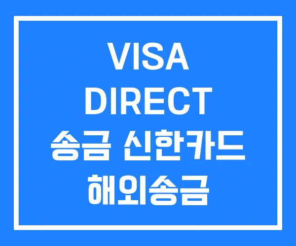 VISA DIRECT 송금 신한카드 해외송금 카카오뱅크 VISA DIRECT 송금 신한카드 해외송금 카카오뱅크