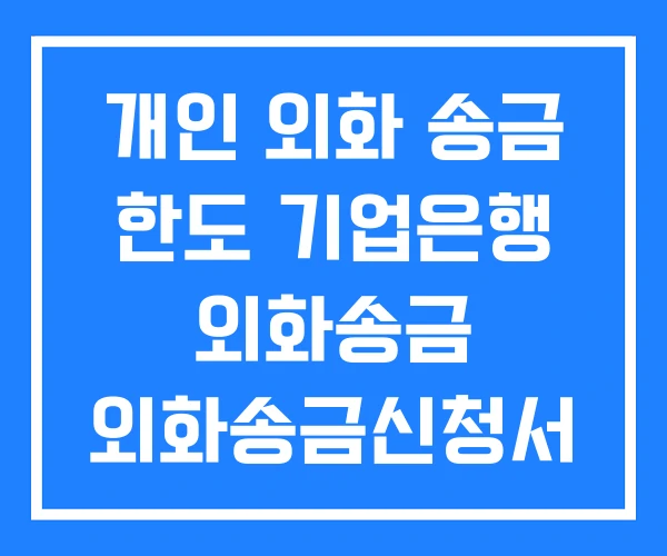 개인 외화 송금 한도 기업은행 외화송금 외화송금신청서