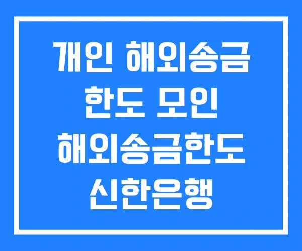 개인 해외송금 한도 모인 해외송금한도 신한은행 개인 해외송금 한도 모인 해외송금한도 신한은행