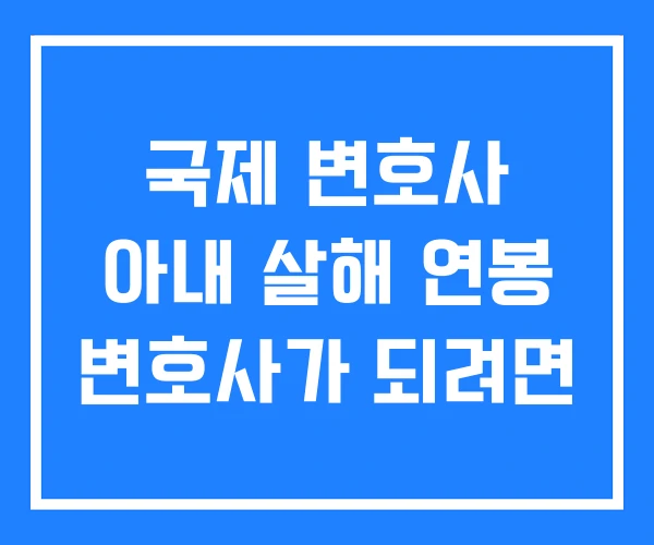 국제 변호사 아내 살해 연봉 변호사가 되려면 국제 변호사 아내 살해 연봉 변호사가 되려면