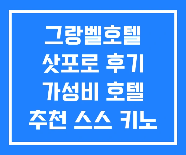 그랑벨호텔 삿포로 후기 가성비 호텔 추천 스스 키노