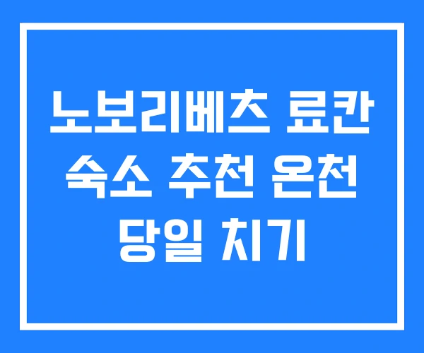 노보리베츠 료칸 숙소 추천 온천 당일 치기