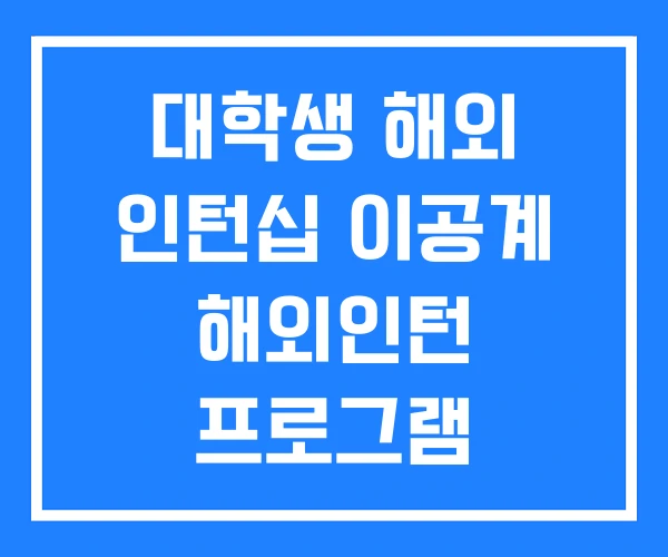 대학생 해외 인턴십 이공계 해외인턴 프로그램