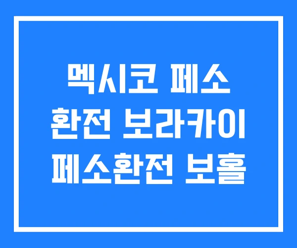 멕시코 페소 환전 보라카이 페소환전 보홀