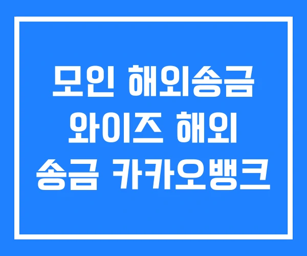 모인 해외송금 와이즈 해외 송금 카카오뱅크