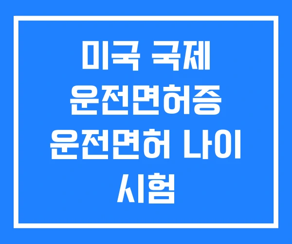 미국 국제 운전면허증 운전면허 나이 시험 미국 국제 운전면허증 운전면허 나이 시험