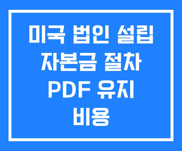 미국 법인 설립 자본금 절차 PDF 유지 비용 미국 법인 설립 자본금 절차 PDF 유지 비용