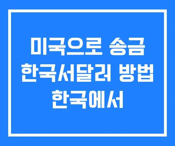 미국으로 송금 한국서달러 방법 한국에서 미국으로 송금 한국서달러 방법 한국에서