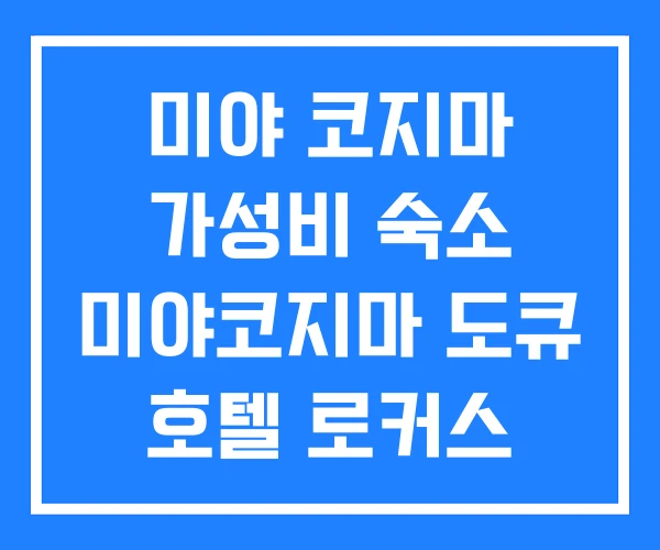 미야 코지마 가성비 숙소 미야코지마 도큐 호텔 로커스 미야 코지마 가성비 숙소 미야코지마 도큐 호텔 로커스
