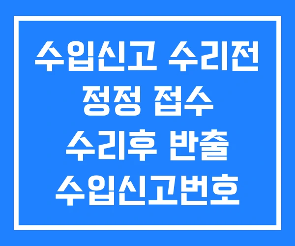 수입신고 수리전 정정 접수 수리후 반출 수입신고번호