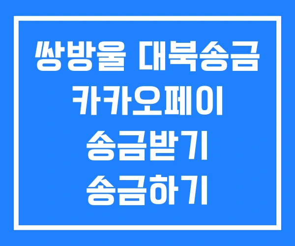 쌍방울 대북송금 카카오페이 송금받기 송금하기 쌍방울 대북송금 카카오페이 송금받기 송금하기