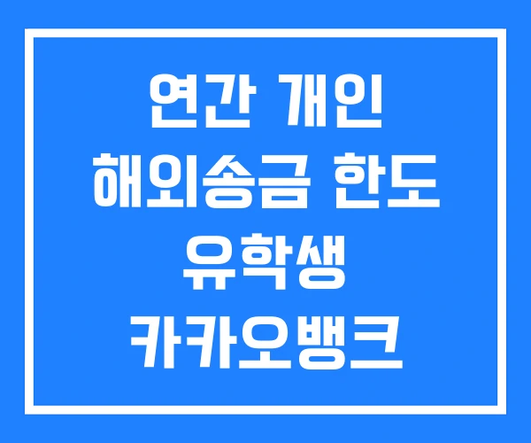 연간 개인 해외송금 한도 유학생 카카오뱅크 연간 개인 해외송금 한도 유학생 카카오뱅크