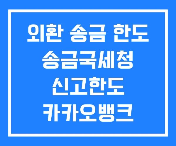 외환 송금 한도 송금국세청 신고한도 카카오뱅크