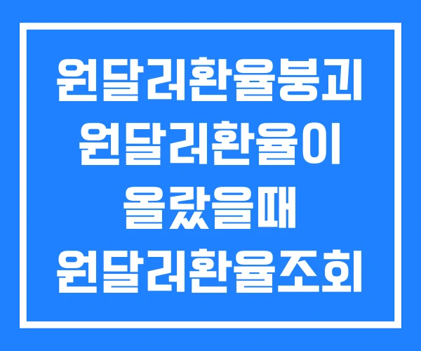 원달러환율붕괴 원달러환율이 올랐을때 원달러환율조회
