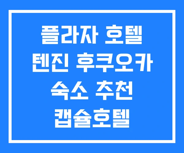 플라자 호텔 텐진 후쿠오카 숙소 추천 캡슐호텔