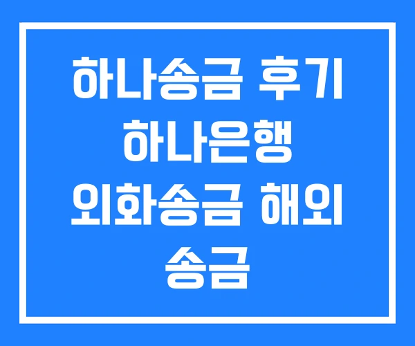 하나송금 후기 하나은행 외화송금 해외 송금