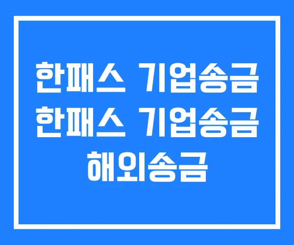 한패스 기업송금 한패스 기업송금 해외송금 한패스 기업송금 한패스 기업송금 해외송금