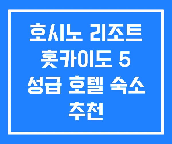 호시노 리조트 홋카이도 5 성급 호텔 숙소 추천 호시노 리조트 홋카이도 5 성급 호텔 숙소 추천
